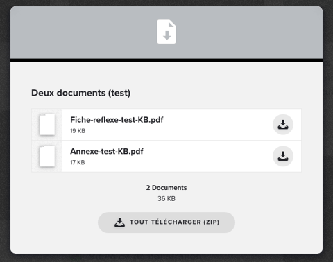 Vue apprenant d'une étape avec deux documents : une icône de téléchargement par fichier et Tout télécharger (ZIP)