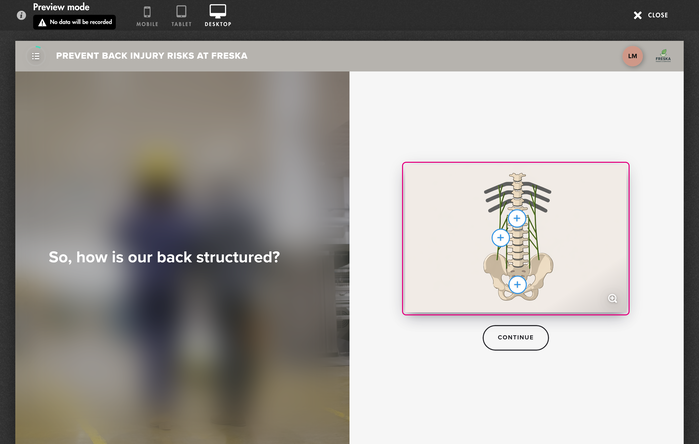Preview mode of an image: the areas to open, then the Continue button