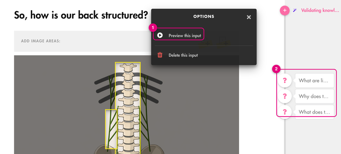 Options menu of an image: Preview this input, and the three questions attached to the image